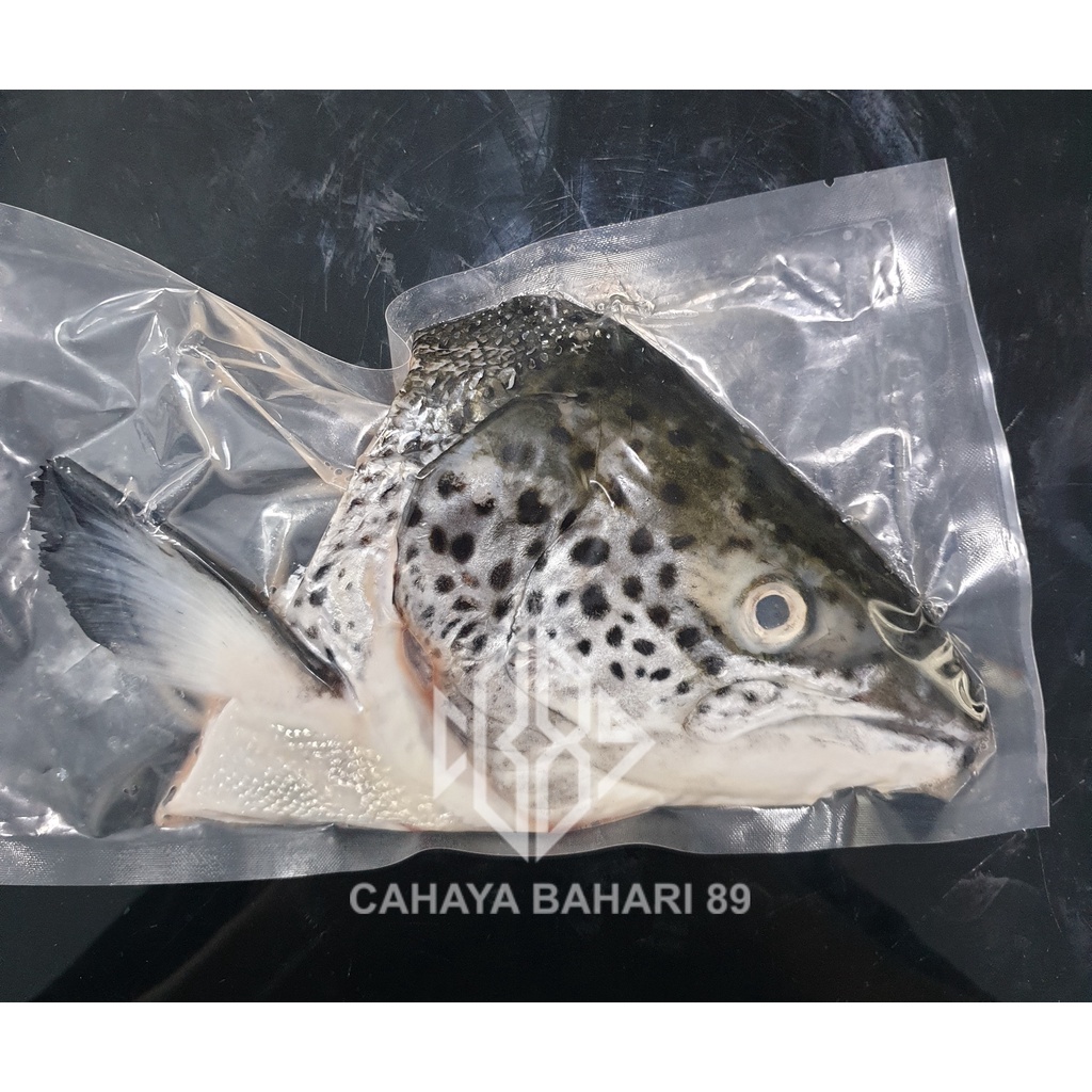 

Kepala ikan Salmon Daging