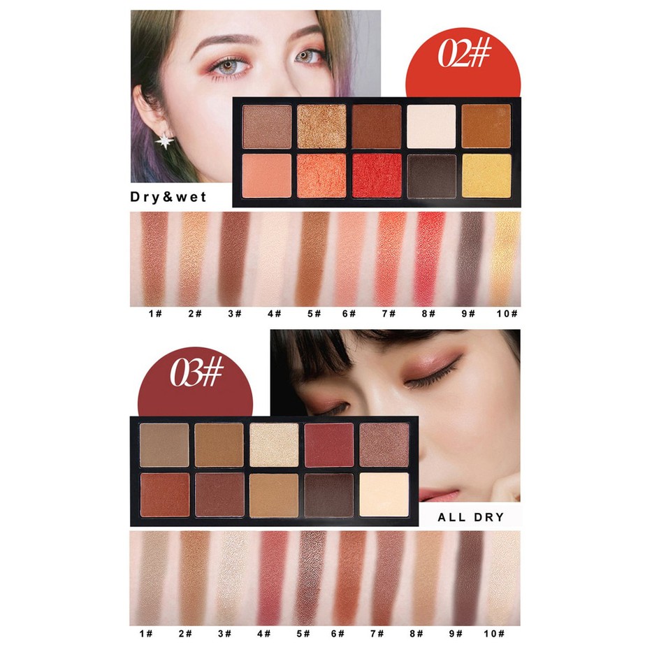 Hojo shine color master 10 In 1 Eyeshadow Palette eye palette