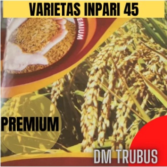 BENIH BIBIT PADI INPARI 45 LABEL PUTIH 5 KG BERKUALITAS
