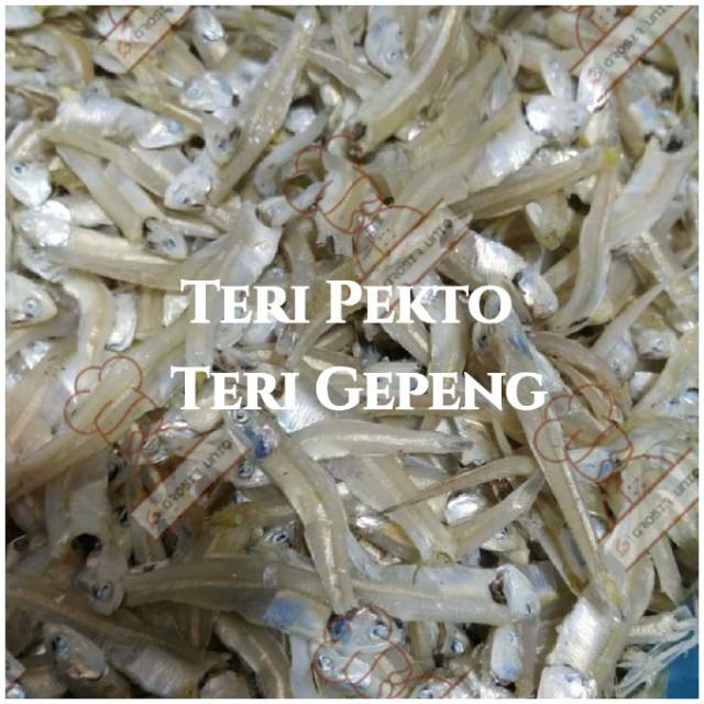 

Ikan Teri Kacang/teri gepeng / teri pekto asli Medan