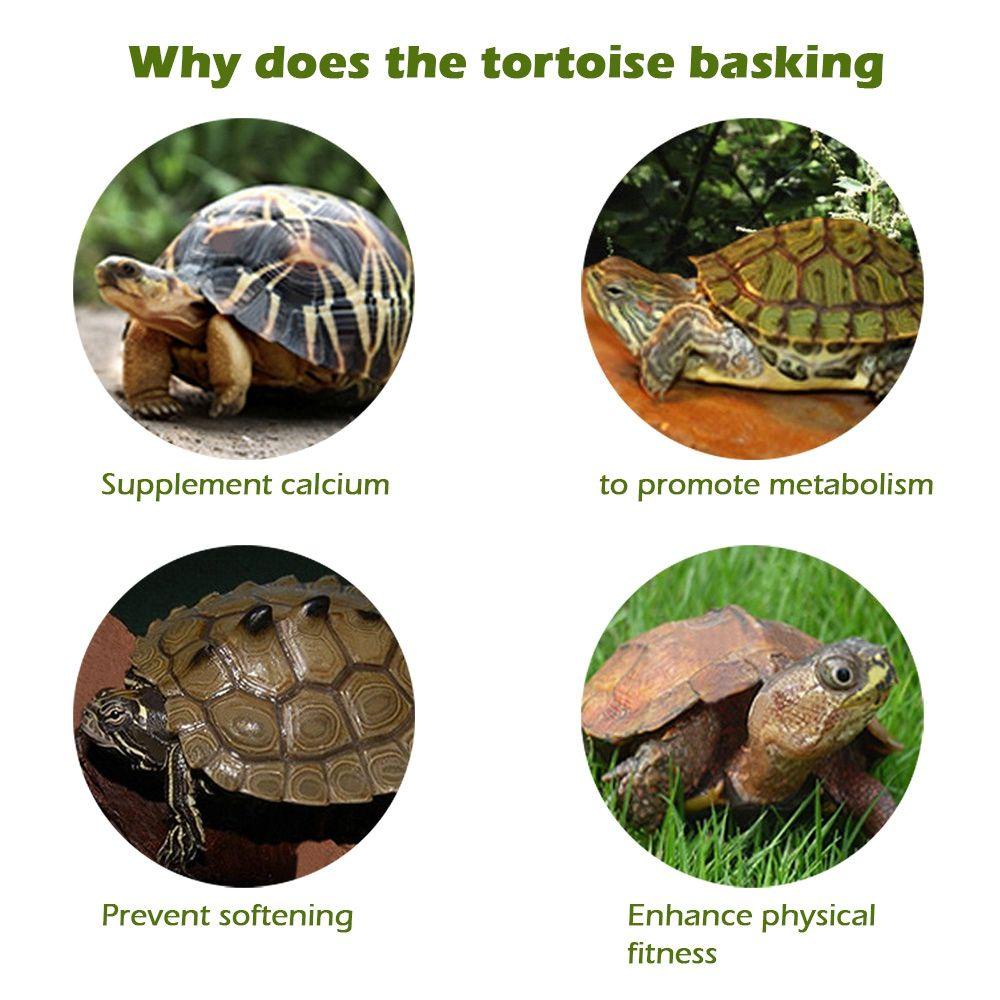 Rebuy Turtle Basking Platform Suction Cup Simulasi Rumput Aquarium Aksesoris Dekorasi Moss Island