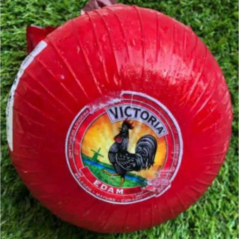 TerlarisKeju Edam Victoria  kurleb 1,7Kg/Keju Apel/Keju Tua Halal