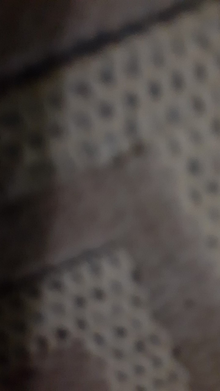 Toples Tinggi Oval/elips /toples Semprong/toples Kue Elips L-2300 Ml Gbu / Dijual Per-bj