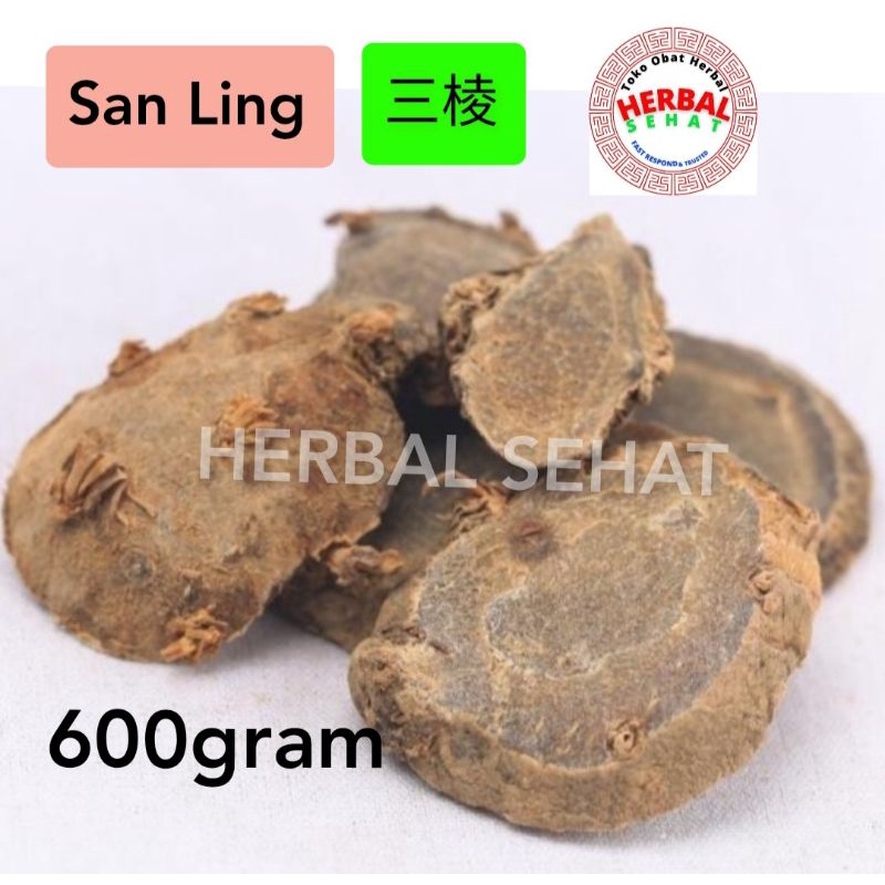 

600gram - San Ling - San Leng - Rhizoma Sparganii