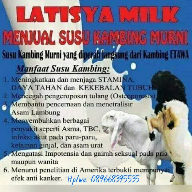 

Susu kambing etawa