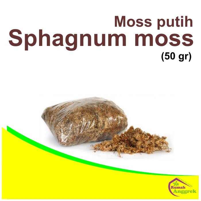Media Sphagnum Moss 50 gram spagnum spaghnum putih lumut