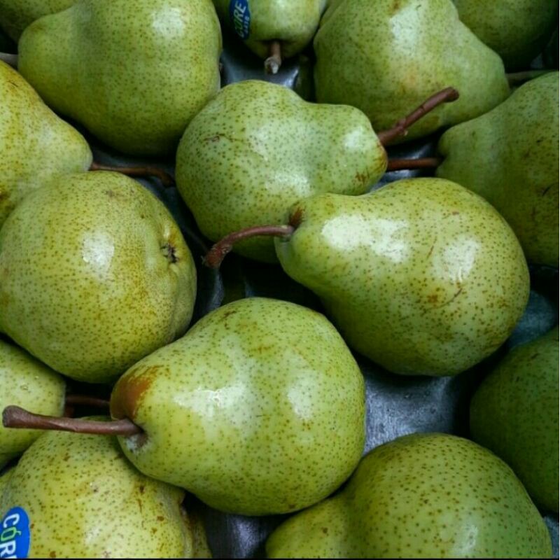 

Pear Pir Packham 500gram