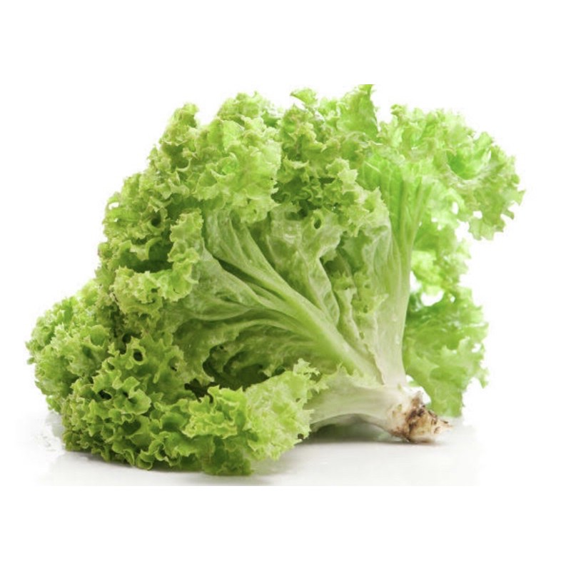 

SayurHD Sayur Selada Keriting Selada Lalap 250gr