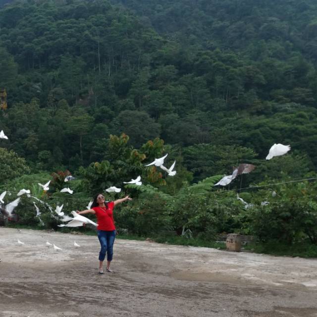 srifebriyantifebriyanti