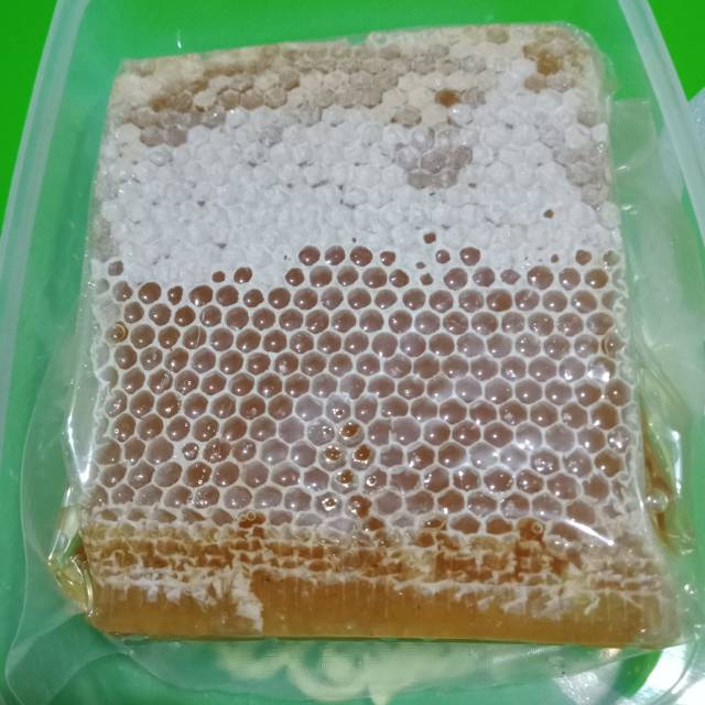 

Madu asli murni