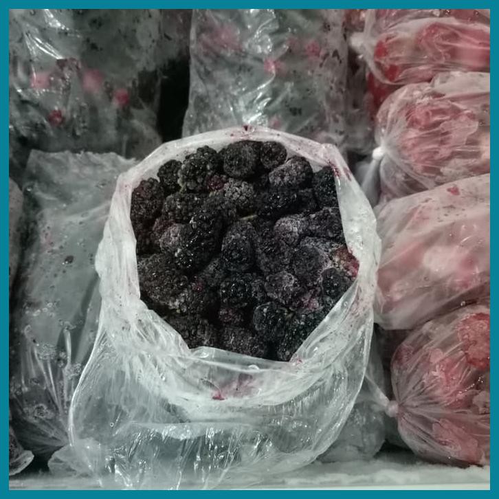

BUAH BEKU IQF BLACKBERRY FROZEN MULBERRY 1/2KG TERMURAH DIJAMIN MURAH