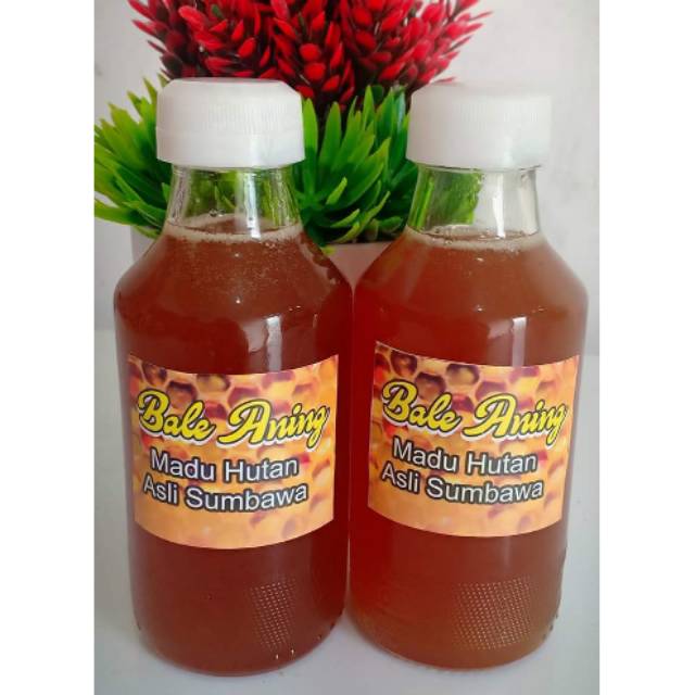 

Madu hutan sumbawa