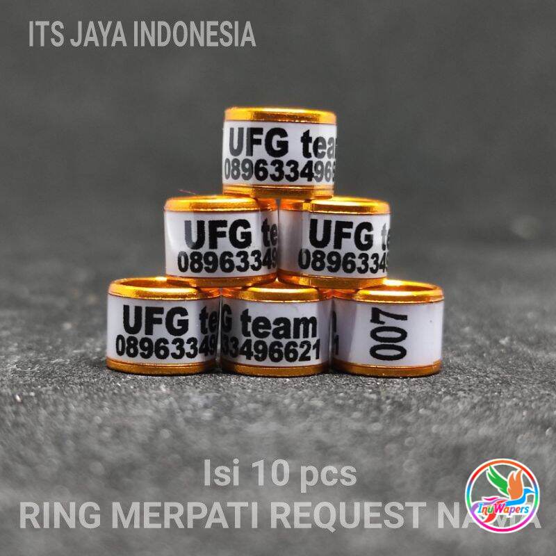 RING MERPATI CUSTOM NAMA  RING MERPATI REQUEST NAMA SENDIRI  RING MERPATI RODA STANDART PUTIH GOLD