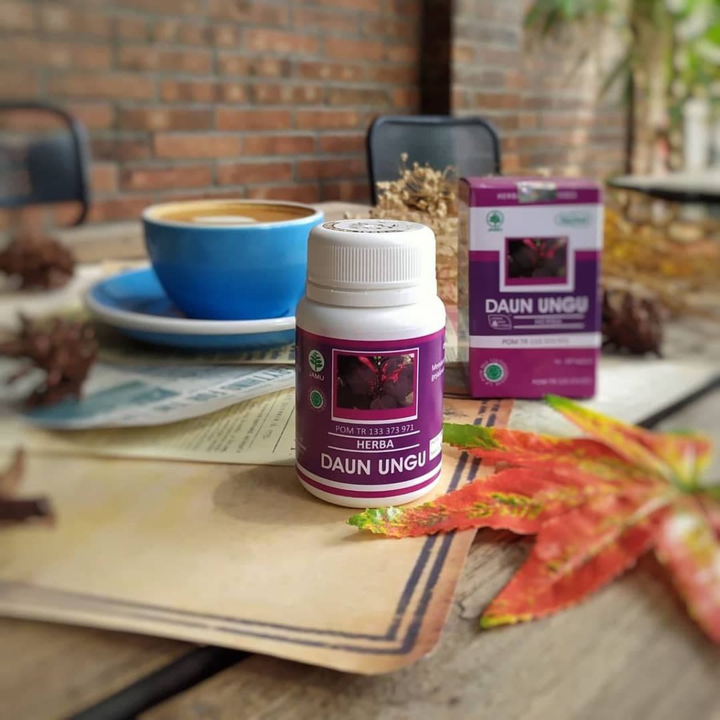 HIU DAUN UNGU HERBAL UNTUK TERAPI PENGOBATAN Wasir atau ambeien