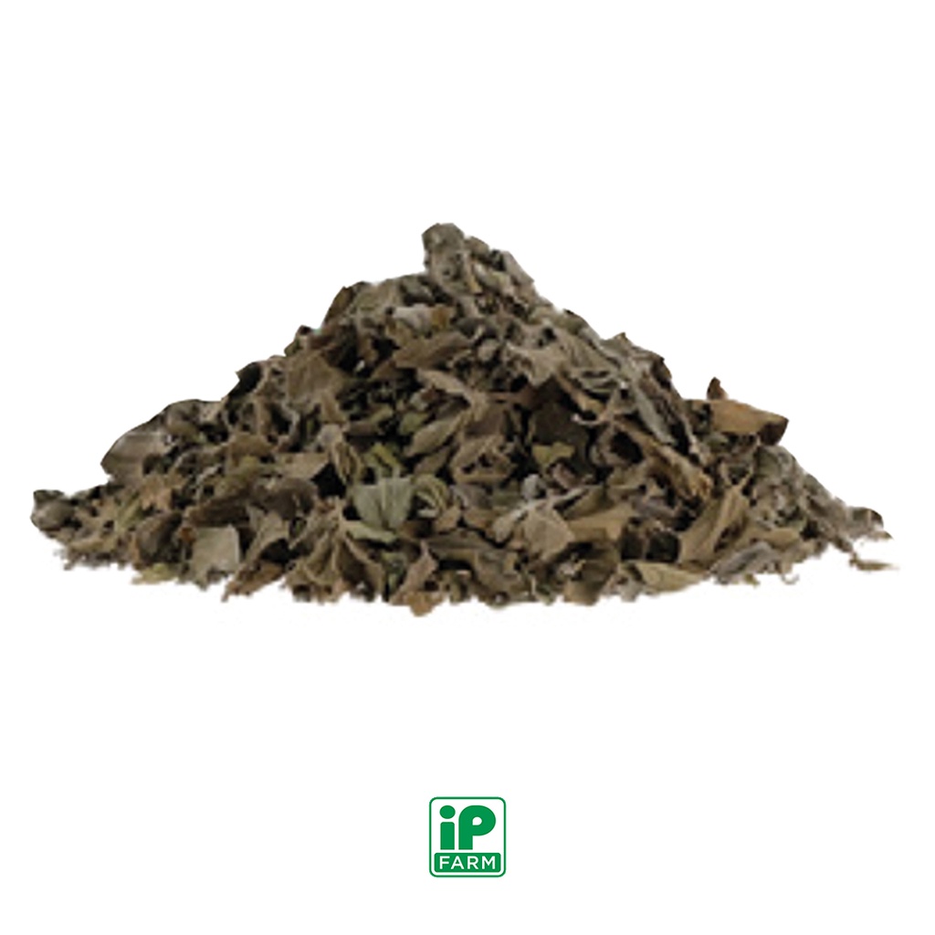 

Dried Oregano / Oregano Kering 75gr