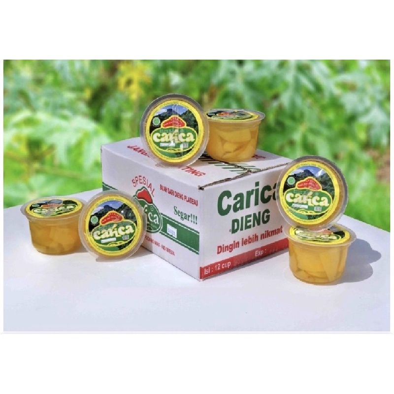 

Carica Mangkuk Besar isi 12 PodangMas