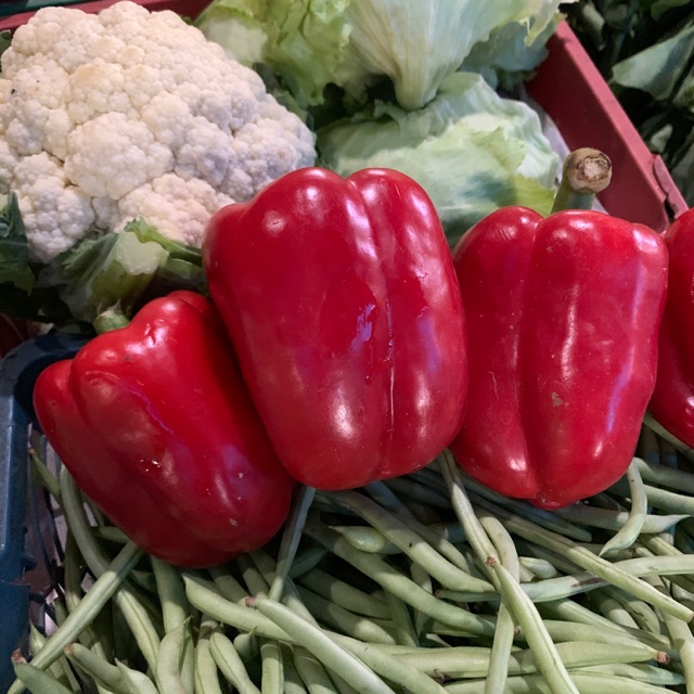 

Paprika merah 1 buahh
