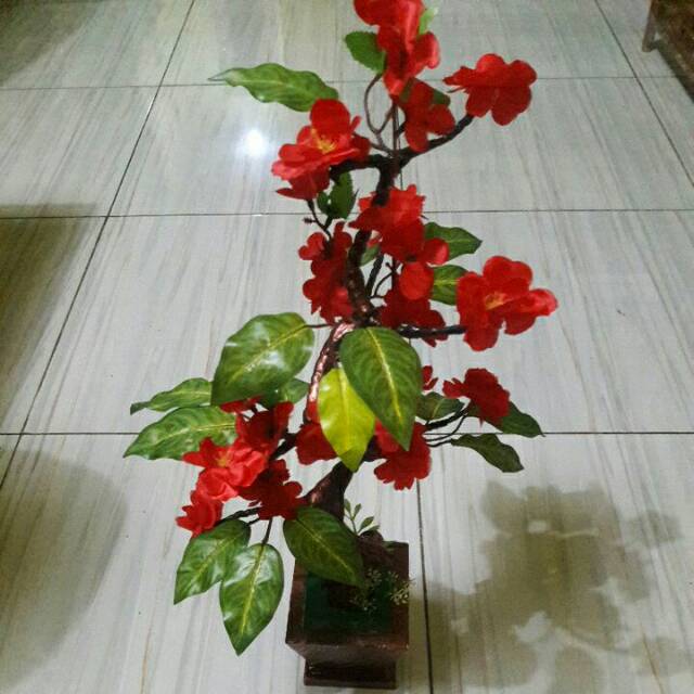 

Bongsai sakura