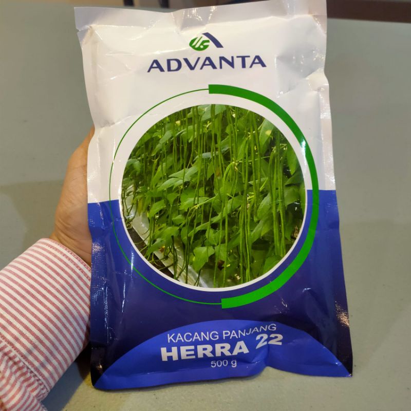 Benih Kacang Panjang Advanta HERRA 22 500g Benih