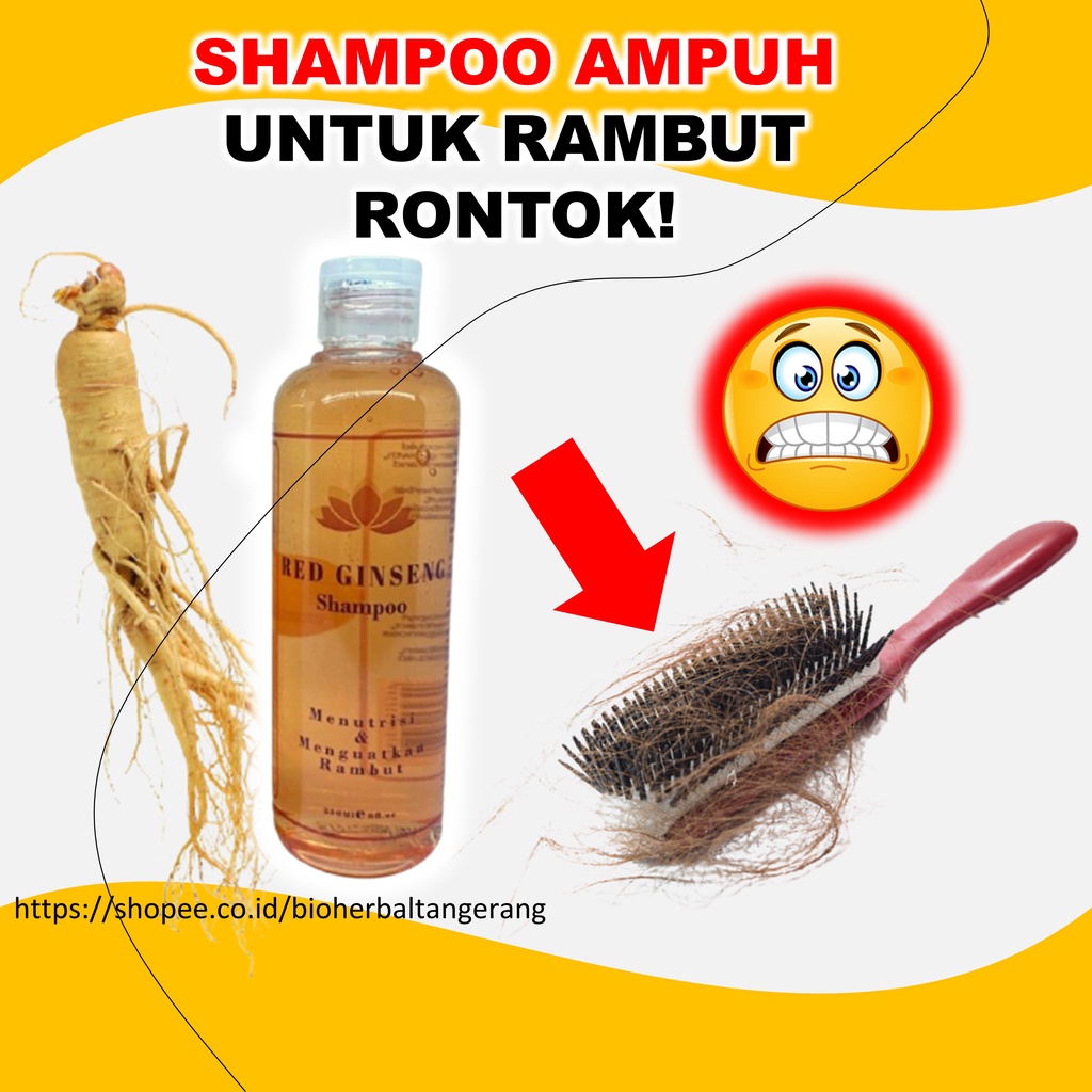 Shampo Anti Rontok Red Ginseng Paling Ampuh BPOM 250 ml B4P