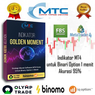 buku strategi binary option pdf free download