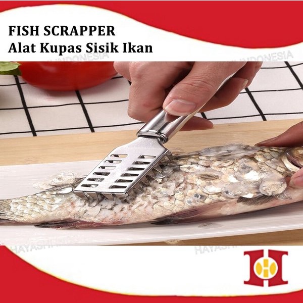 Alat Pembersih Pengupas Sisik Ikan Fish Scale Skin Remover Stainless