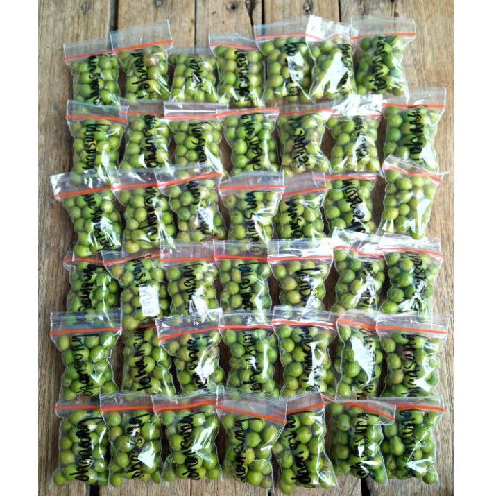 BIJI LOHANSUNG MAWAR