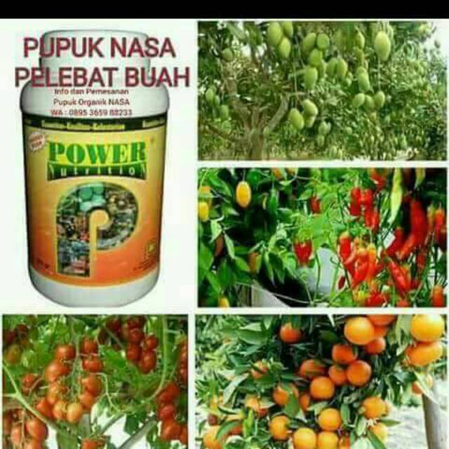 Power nutrition
