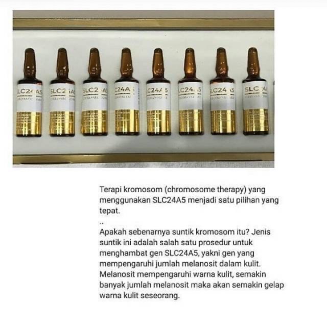 Ecer infus chromosome SLC24A5 kromosom chromosom