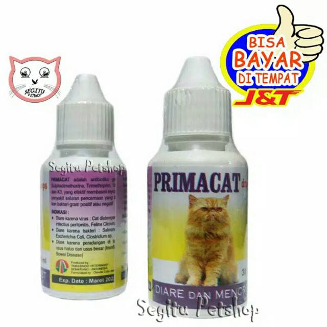 Obat kucing Diare Mencret Prima Cat