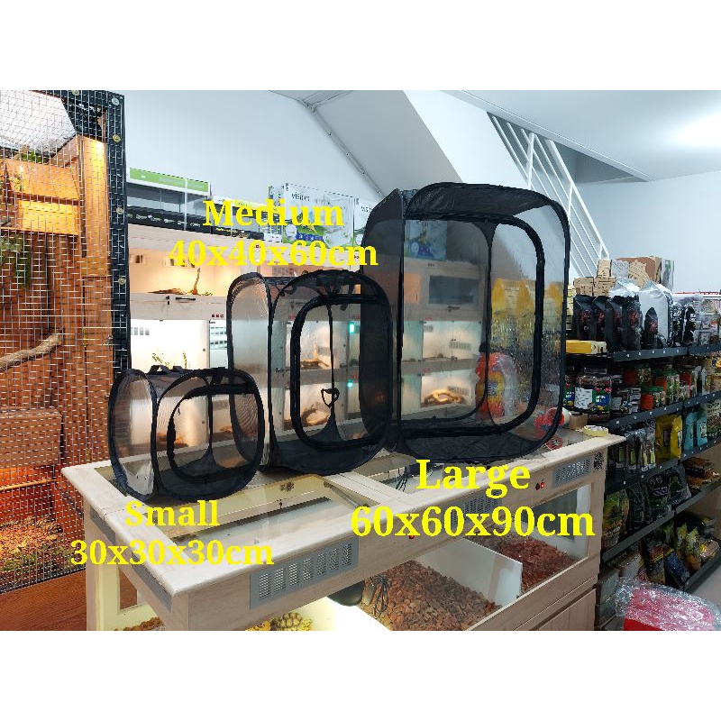 Kandang Lipat Outdoor Hewan Reptil Chameleon Iguana Insect Nomoy NFF-57