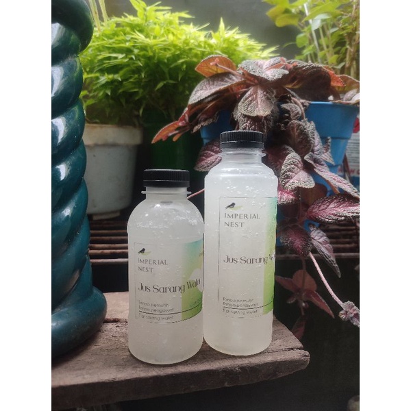 

Jus Sarang Walet 200ml