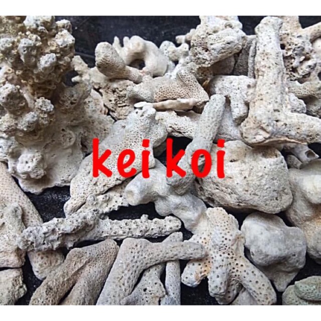 Media Filter Karang Jahe 1 KG