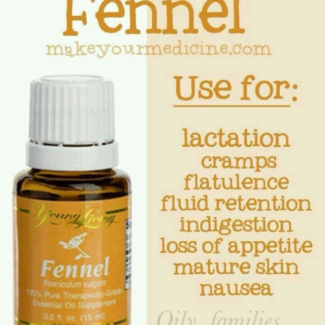 Fennel
