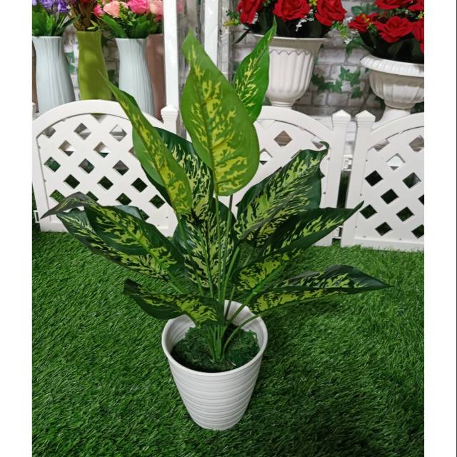 Set daun keladi artificial pot tawon pirus  Shopee Indonesia