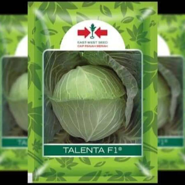 Benih kubis/kol Talenta f1 30 biji