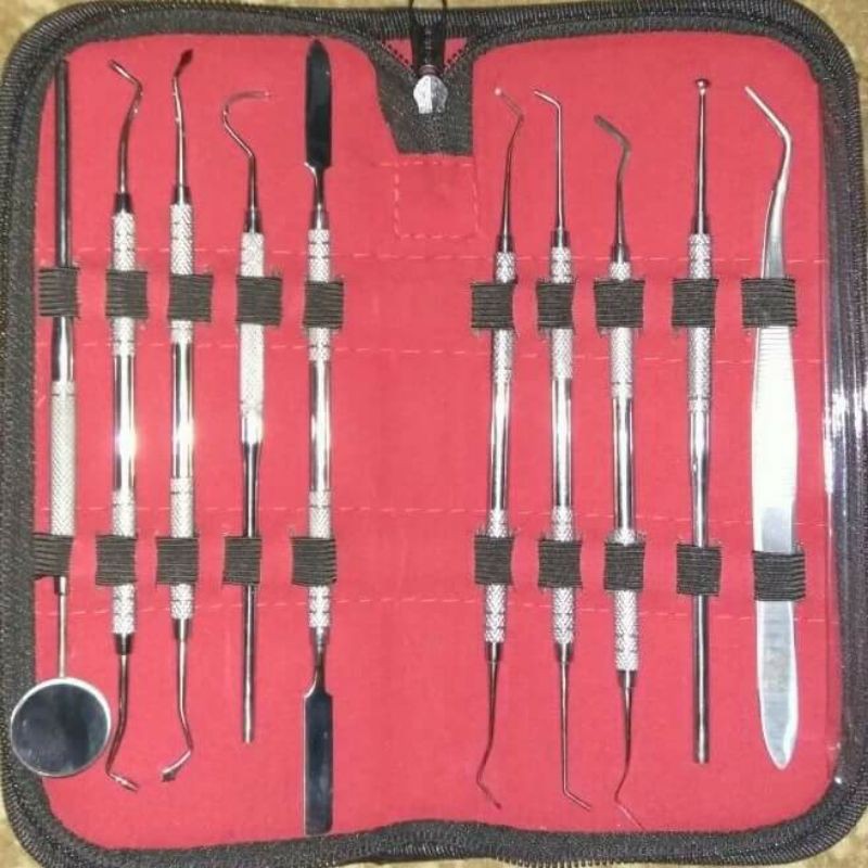 Dental Instrument Set / Alat bantu Gigi Set isi 10 pcs