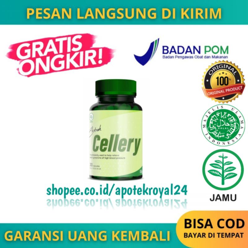 CELLERY Obat Darah Tinggi CELLERY Herbal CELLERY Obat Hipertensi ASLI ORIGINAL