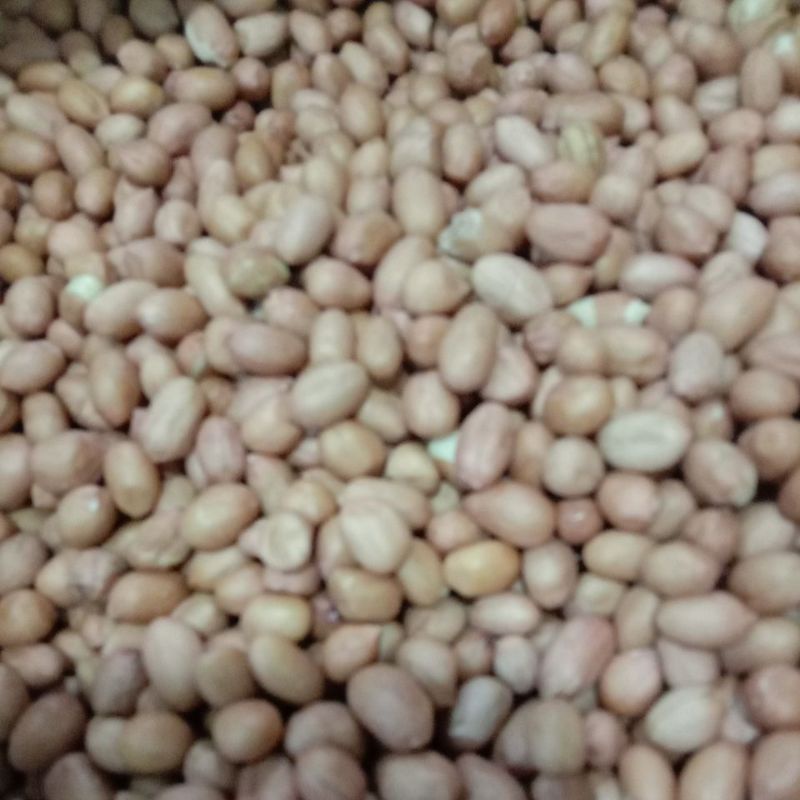 

kacang tanah india 250gm