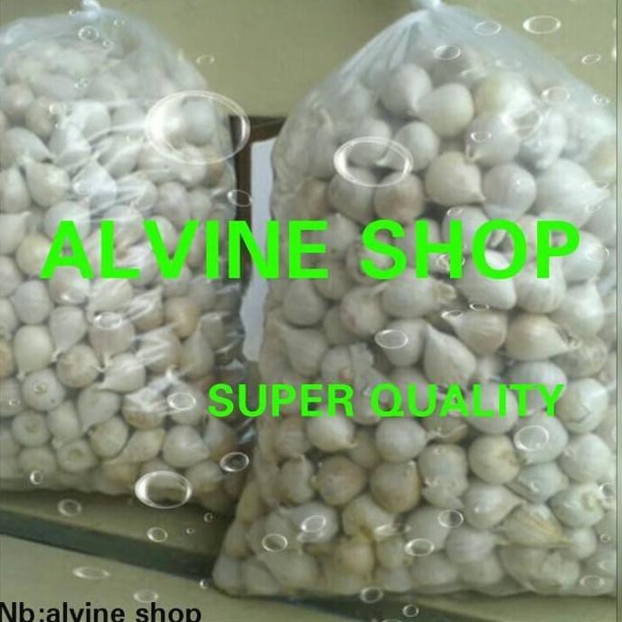 

bawang putih tunggal/bawang lanang BOOM SALE
