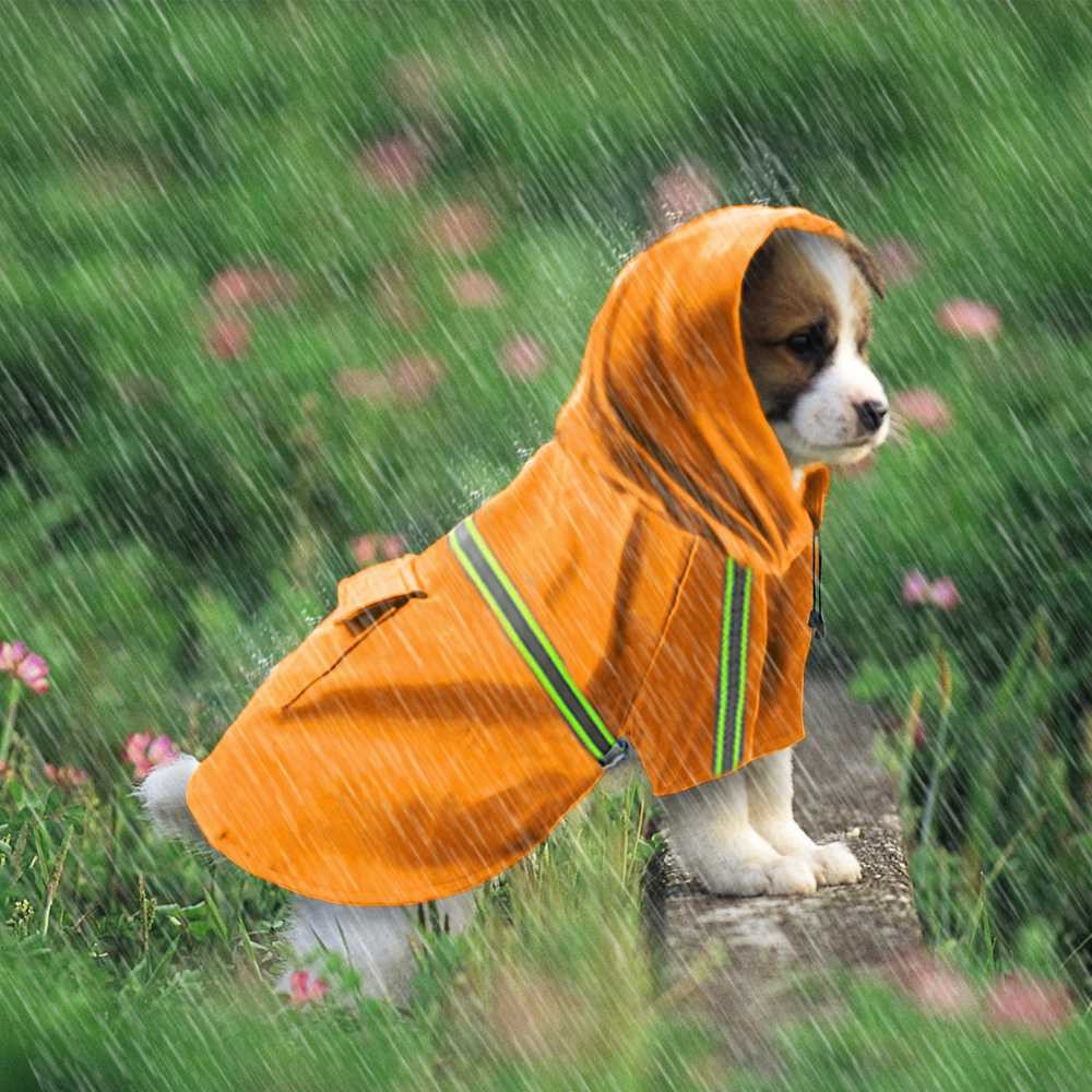 Jaket Anti Hujan Anjing Waterproof Shopee Indonesia