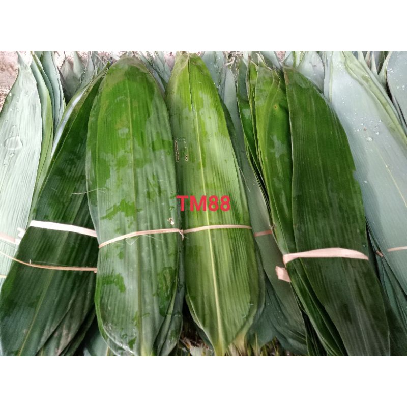 

DAUN BAMBU/DAUN BACANG/DAUN BAKCANG