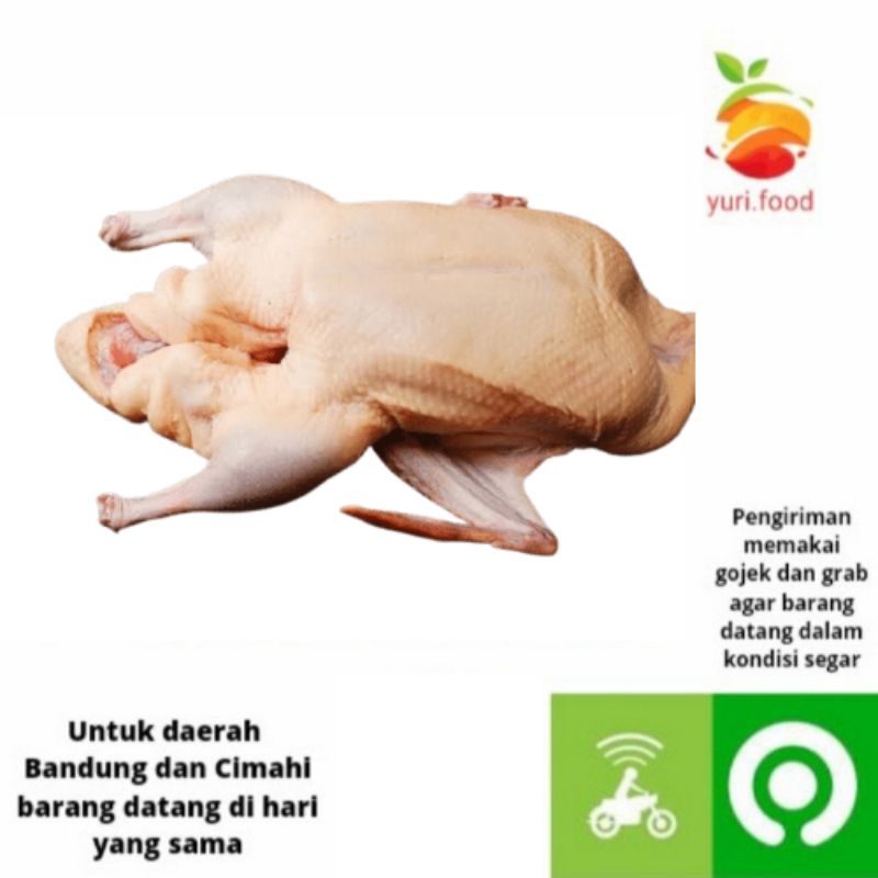 

Ayam potong campur ( Ayam dipotong sesuai syariat)