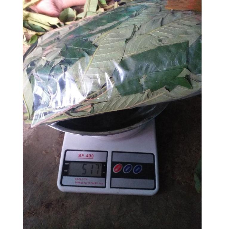 

(H-AAQ> (♥> DAUN SUNGKAI 500 gram herbal covid 19 harga pendemi (siap dikirim>