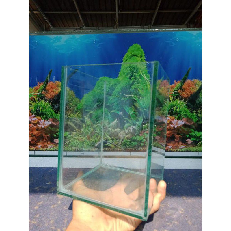 Aquarium kaca soliter ikan cupang dan gepy 15x15x20