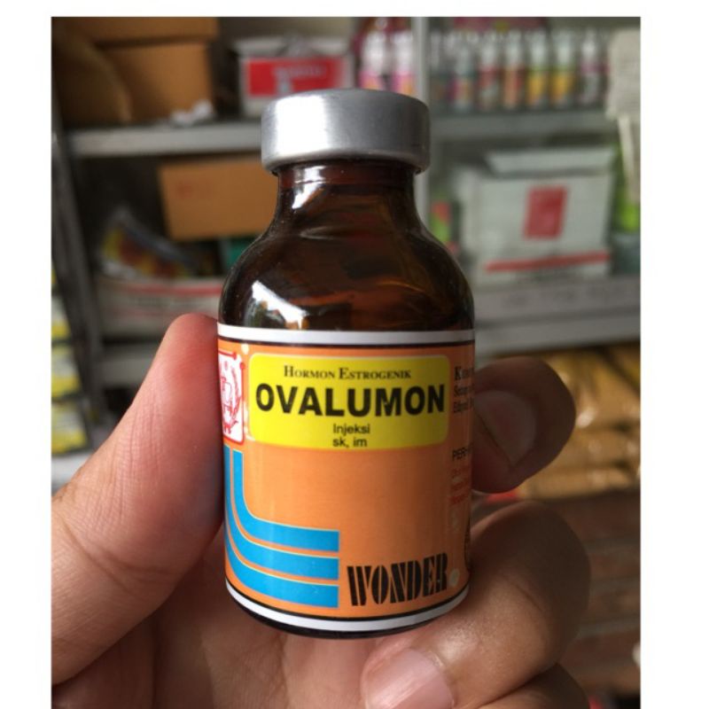 OVALUMON - Obat Penambah Birahi Untuk Hewan Peliharaan Kambing Domba Sapi Kerbau Dll