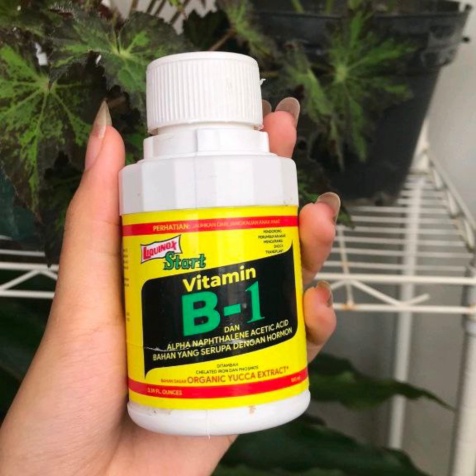 PUPUK VITAMIN B1 CAIR LIQUINOX UNTUK TANAMAN