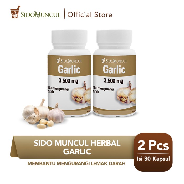 

(BISA COD) Paket Rahmat 3 (Ramadhan Hemat) - 2 Botol Garlic