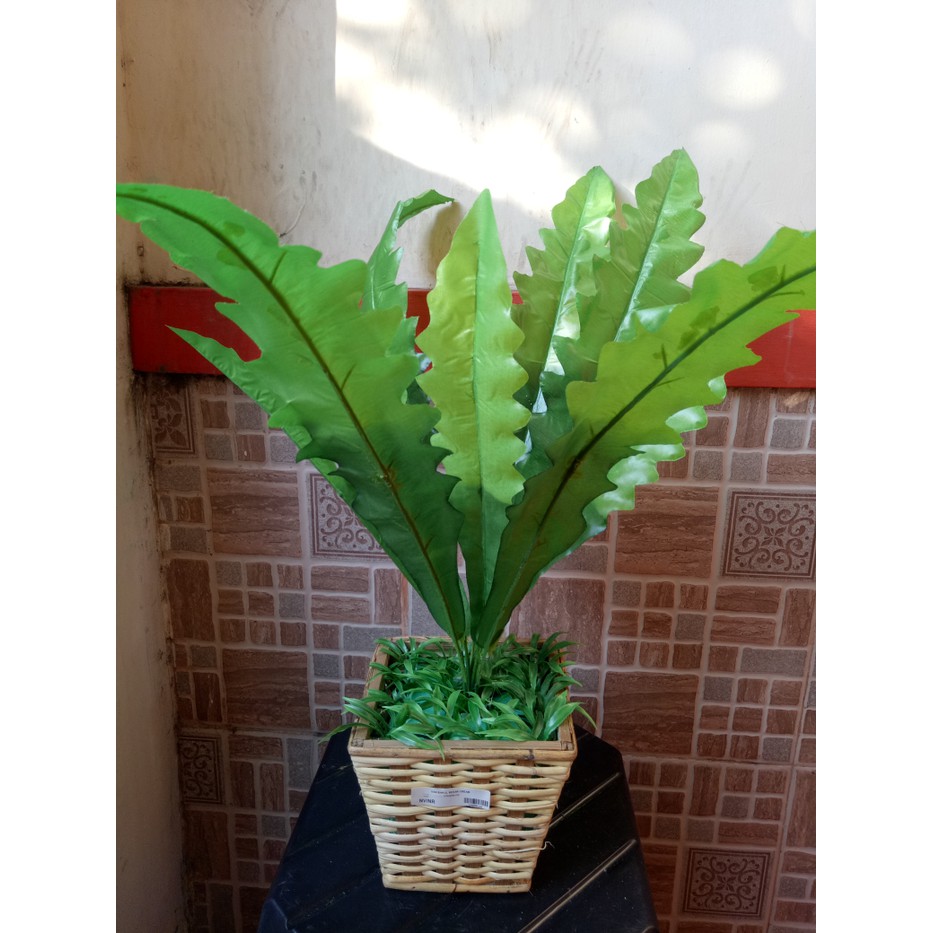 PROMO ARTIFICIAL DAUN GELOMBANG CINTA +POT BAKUL ROTAN ANYAM BERKUALITAS