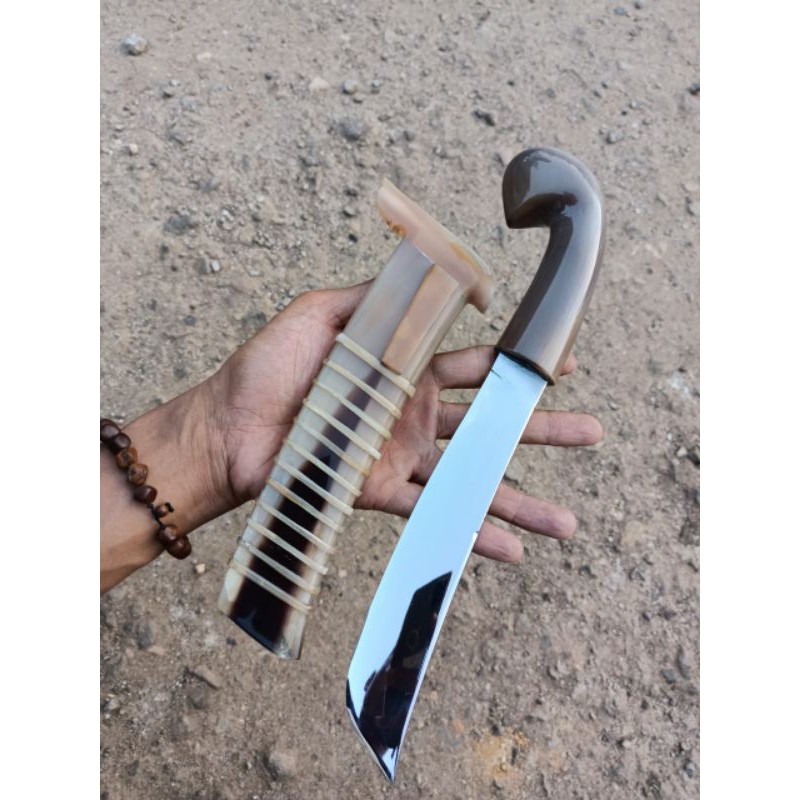 GOCIL FULL TANDUK KERBAU BULE